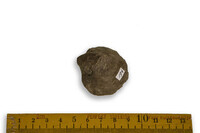 F 00194
<br/>
<br/>
<em></em>